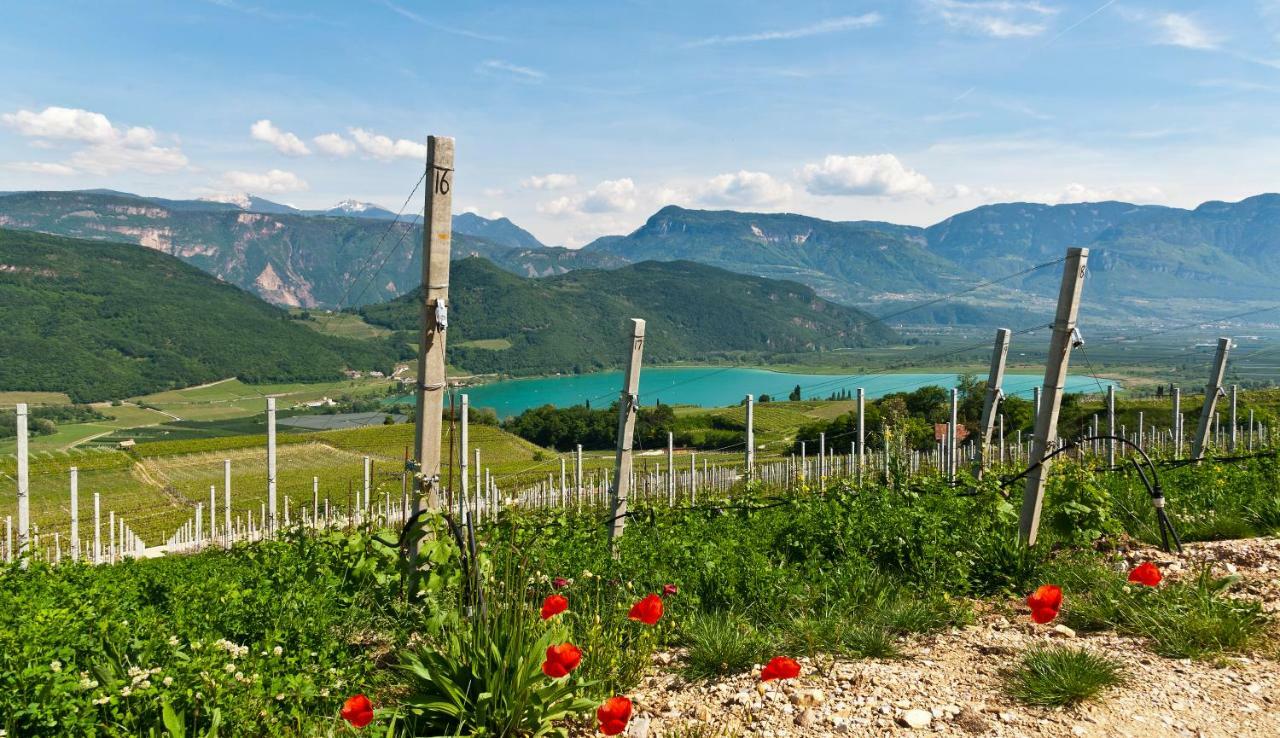 Hotel Weingut Klosterhof Caldaro sulla Strada del Vino Exterior foto